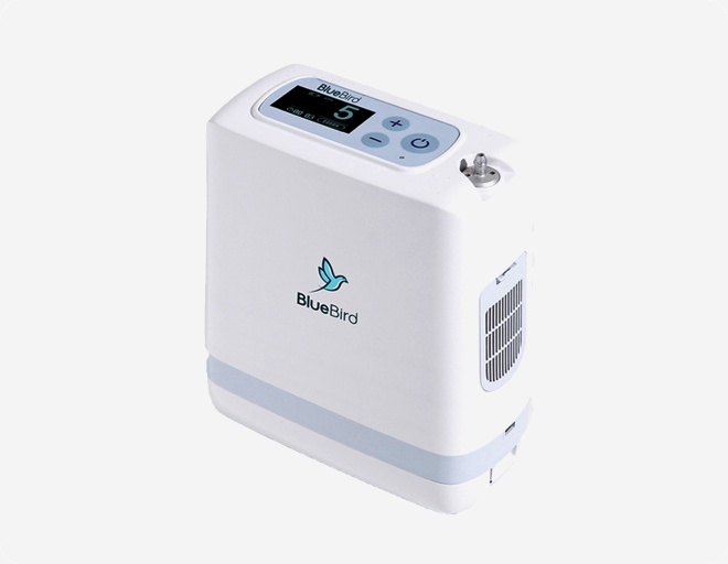 블루버드(흡입형)